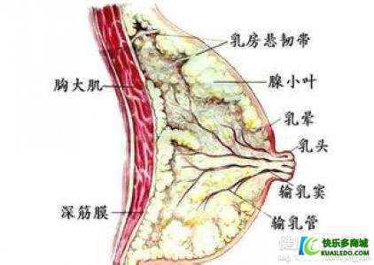 女性患有乳腺增生有哪些病症呢