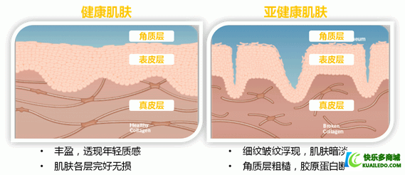 恒时凝颜抗衰老的秘密