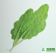 植物营养素给我们健康