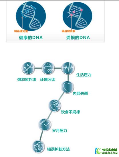 雅姿玑因14活颜精华液与皮肤DNA