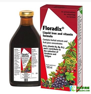 德国原装Floradix Iron铁元