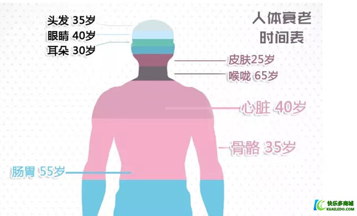 人体各器官衰老时间表！再不注意身体就迟了！