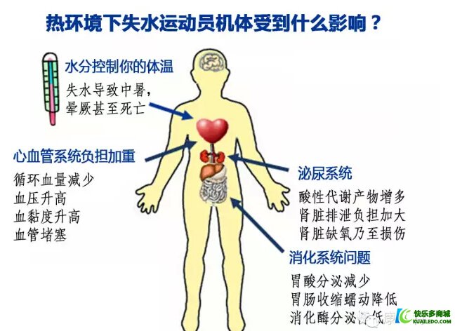 热环境体能训练的营养策略