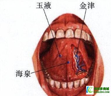 金津穴位位置在哪