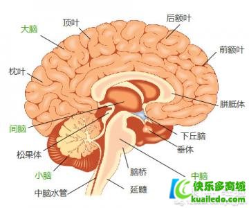 疗养脑梗塞什么时候最好?