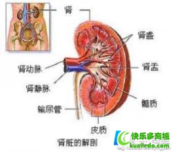 第1步