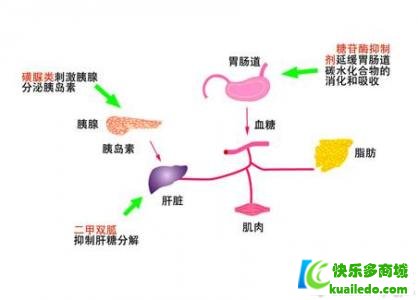 糖尿疾病者运动小贴士