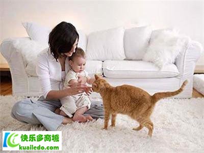 猫抓病怎么疗养 宠物家庭切记做好防护措施