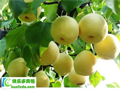 冬天吃什么降火 【盘点】冬天降火的蔬菜水果