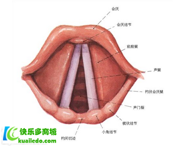 声带息肉是怎么引起的 声带息肉的5大致病因素