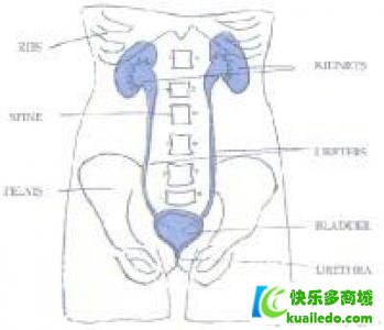 第1步