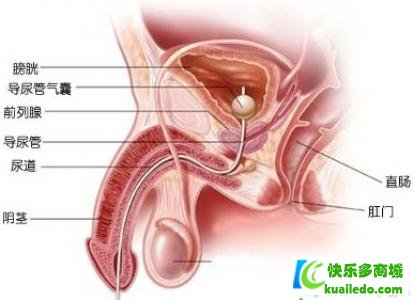 第1步