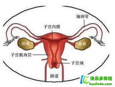 女士子宫腔粘连要怎样做检查