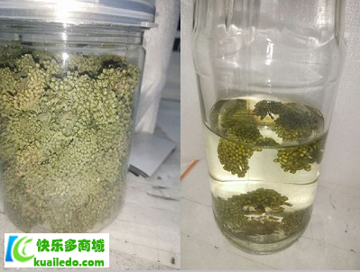 降压茶有哪些 【图】权威推举十款降压饮品