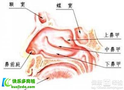 第1步