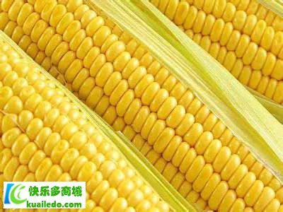 减重早上吃什么 【盘点】有助于瘦身的4种早餐食品