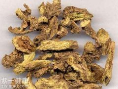 [专家讲解]黄芪提取物的副作用有哪些 揭示黄芪提取