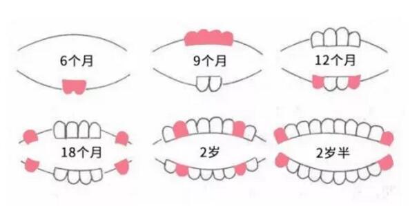 宝宝长牙顺序是什么 长牙期爸爸妈妈必做的事 快乐多