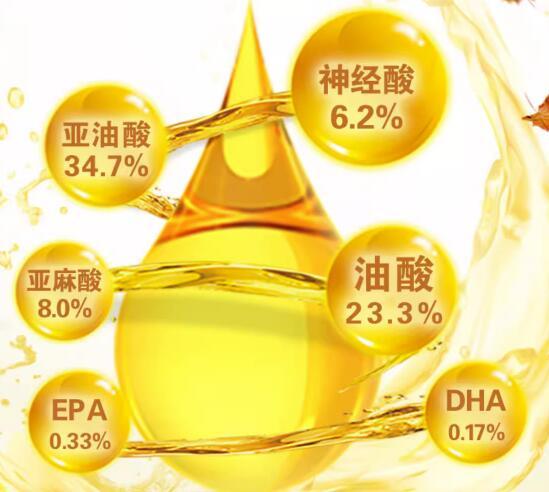 金枫露元宝枫籽油是保健品还是药