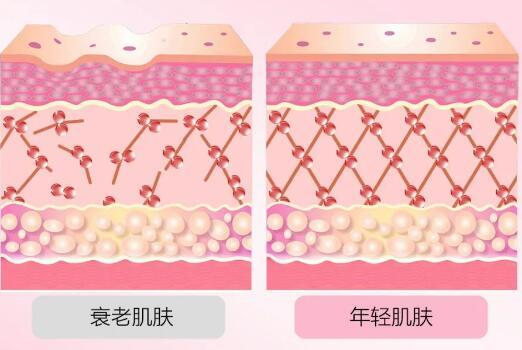 完美牌红枣胶原肽沙棘汁功效有哪些？完美牌红枣胶原肽沙棘汁效果怎么样